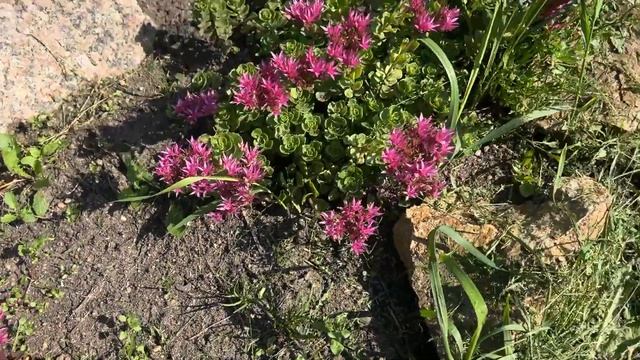 Купила подарок себе на День Рождения! Муж начал красить дом смотреть онлайн