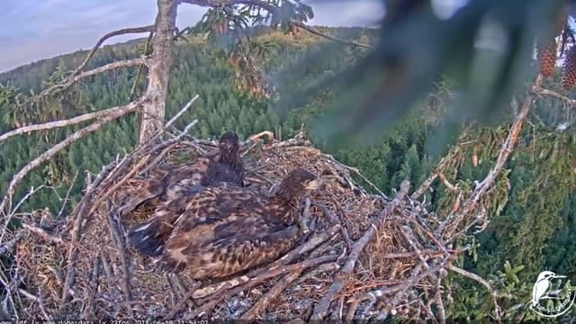 Juras ergli 2018 06 19 22 смотреть онлайн