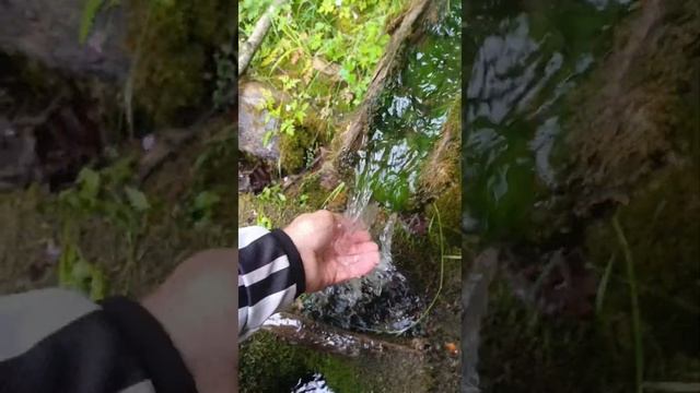 Мезмай покатушка KOVE 500X; Voge 300 Rally; Honda XR400. День первый. ч.2 смотреть онлайн