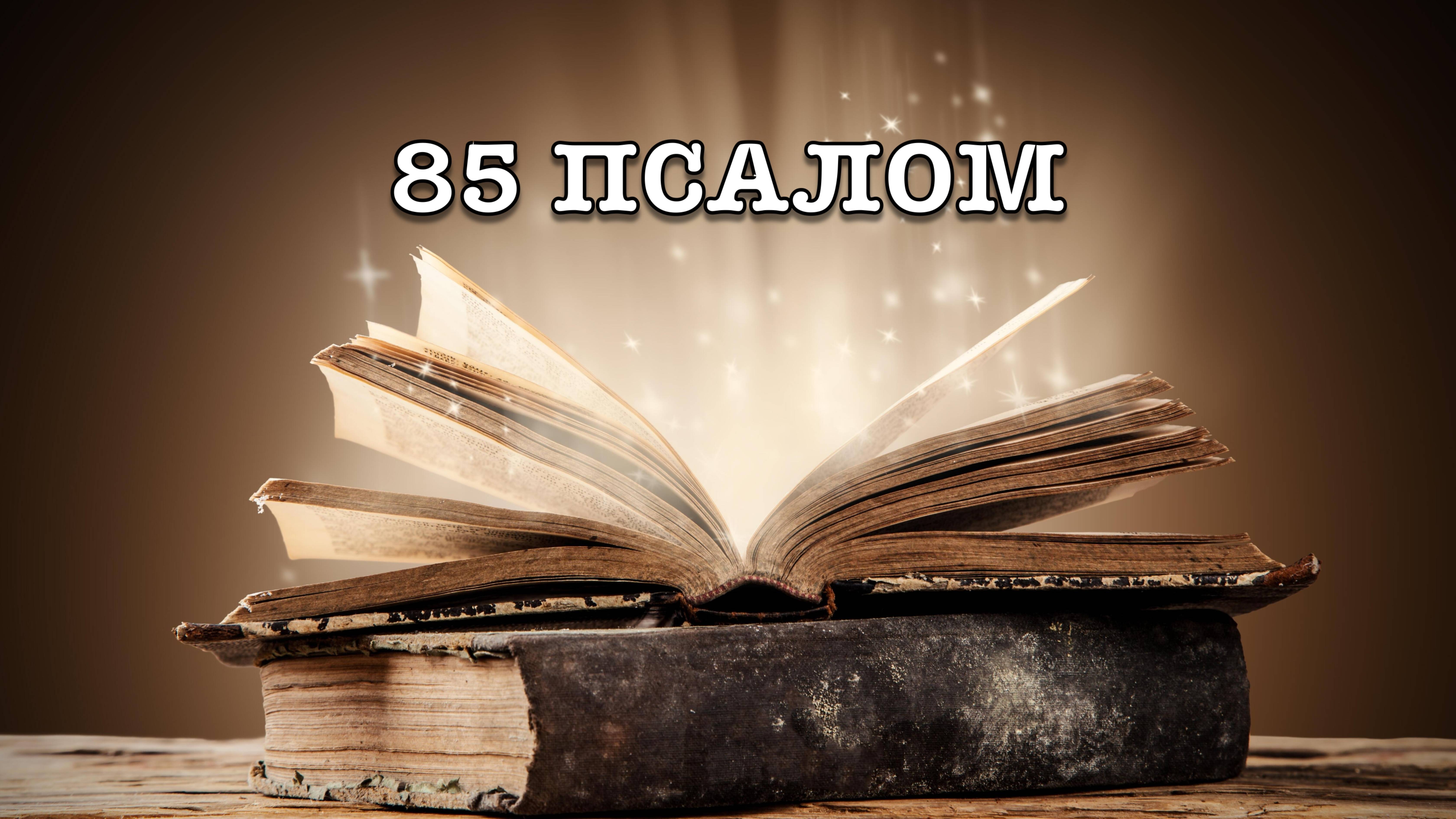 85 ПСАЛОМ
