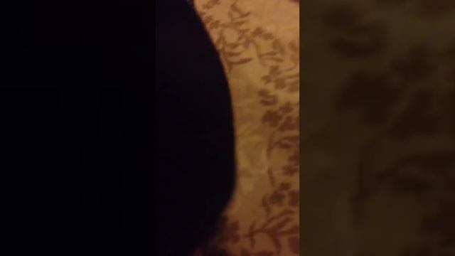 Спёрли трусы👙. Щенок- бабник смотреть онлайн