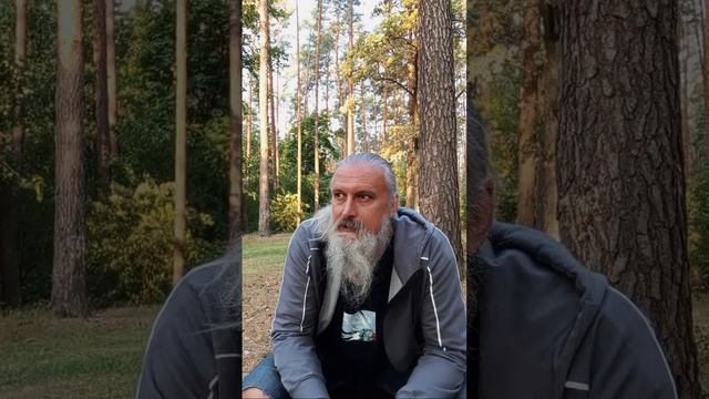 Утро Цигун Тайцзи ! Осенняя группа практик ❤️ для начинающих ! смотреть онлайн