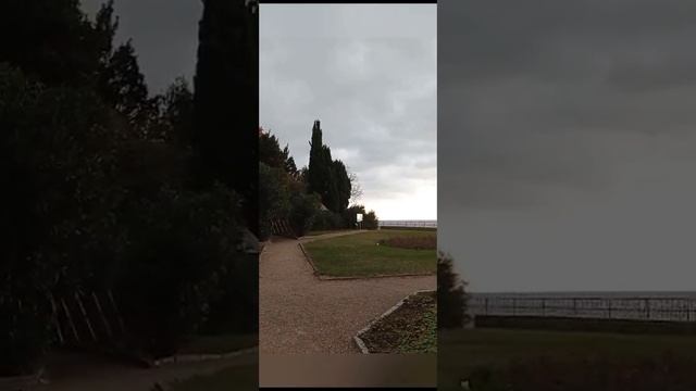 Платаны Воронцовского парка. смотреть онлайн