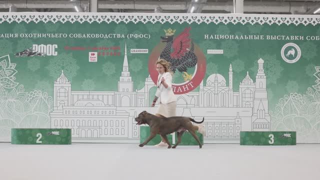 "Зилант" 2024г. Казань смотреть онлайн