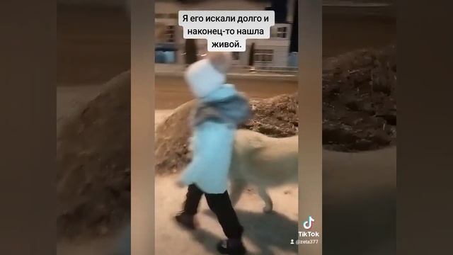 я его иска очень долго и наконец-то нашла через столько лет.теперь у меня 3 собаки смотреть онлайн