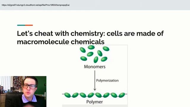 AP Biology Lecture 21 Shifting Views and Macromolecules смотреть онлайн