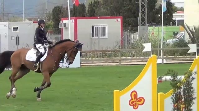 Winnaar -03 (Krunch De Breve X Mermus R) 1m45 Ranking Class