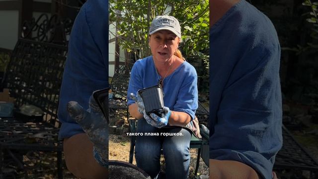 Контейнеры для рассады смотреть онлайн