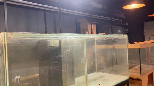 Стойка для дискусов.Про компрессор смотреть онлайн