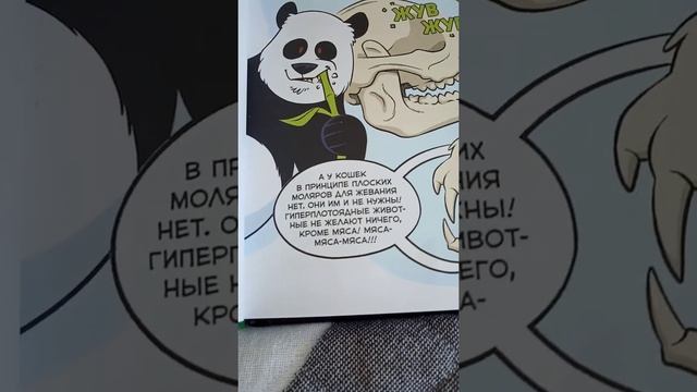 комикс "кошки" часть 1, зубы кошек смотреть онлайн