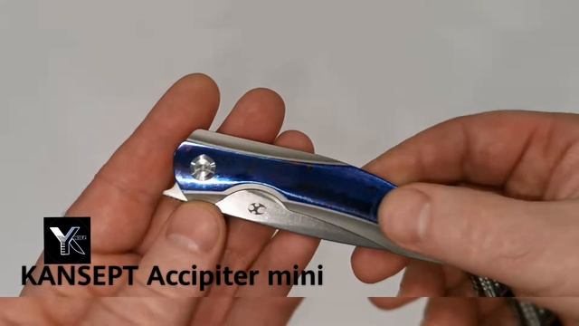 KANSEPT Accipiter Mini Timascus