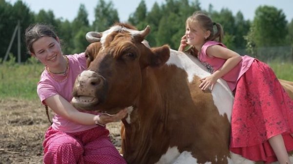 Презентация Экофермы INSIGHT