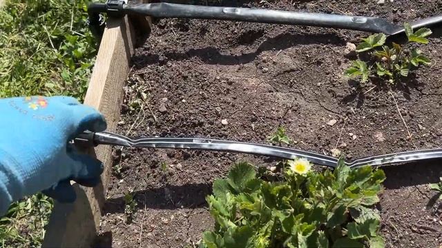 Наступило лето на нашей даче! Чем занимались и что сделали 3 июня смотреть онлайн