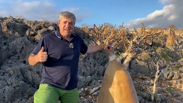 Отзыв Сокотра Сергей Доля смотреть онлайн