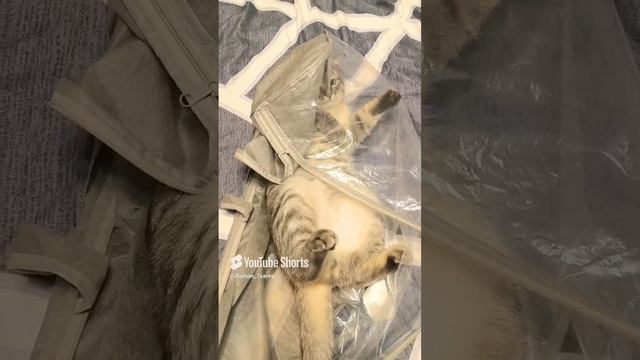 РАСПАКОВКА 😁😁😁 #shorts смотреть онлайн