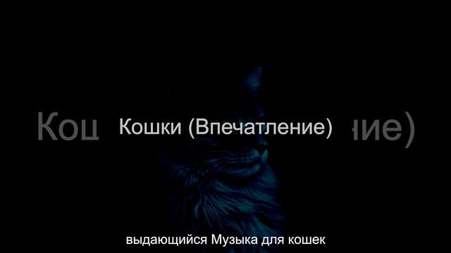Созерцая (Кошки) смотреть онлайн