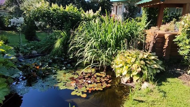 Прудик на участке. смотреть онлайн