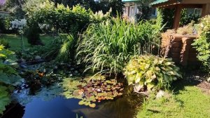 Прудик на участке.