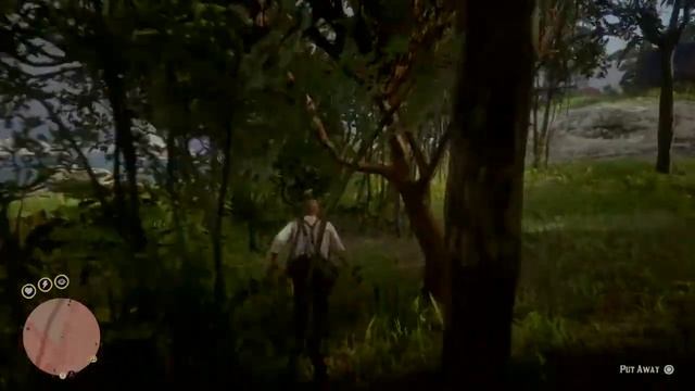 Green turtle study rdr2 смотреть онлайн