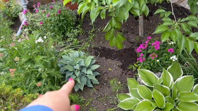 Готовимся к Юбилею 2023 года! Приглашаем всех на мой День Рожденья! смотреть онлайн