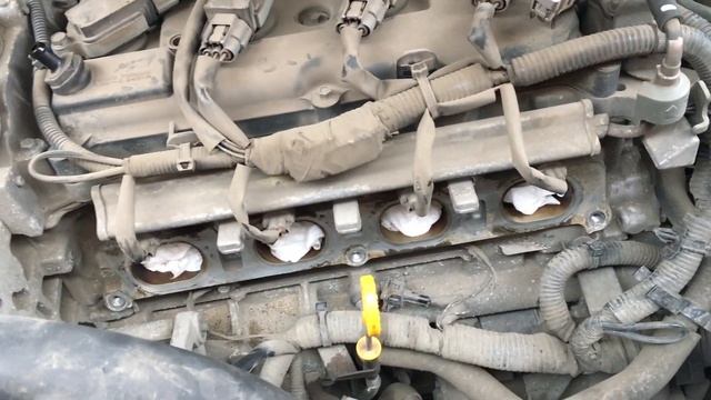 Замена свечей зажигания на Nissan X-Trail T31 2.0 смотреть онлайн