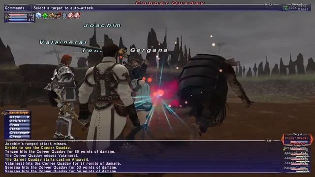 FINAL FANTASY XI 2020 01 15 13 51 04 смотреть онлайн