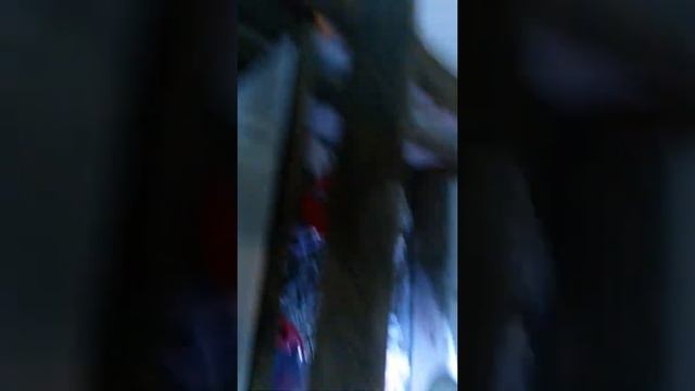прошло 3 недели с привоза животных (поросята и бройлеры) смотреть онлайн