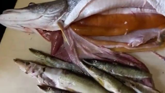 Щука проглот смотреть онлайн