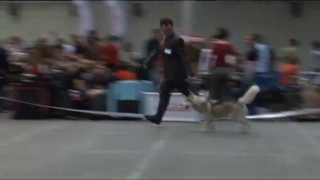 nevskie zvezdu part-3.mpg смотреть онлайн