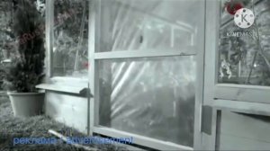 реклама KiteKat  корм для котёнка advertisement