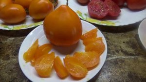 Томат Ночная свеча. Моя новинка 2024 года. Дегустация.