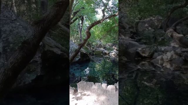 По Воронцовскому парку. 30.08.22. смотреть онлайн