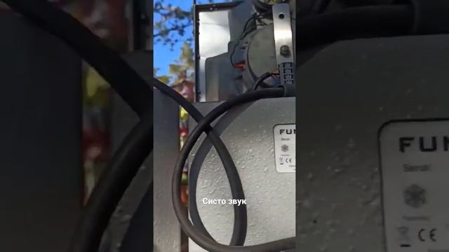 звук на мэйне систо смотреть онлайн