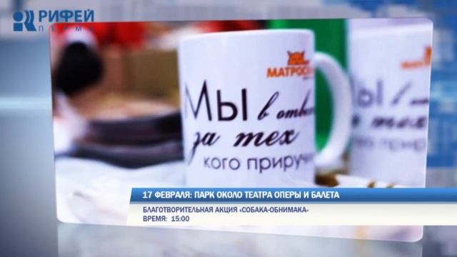 Выходные в Перми: собака-обнимака, зимний триатлон и выставка «Арт-Пермь» смотреть онлайн