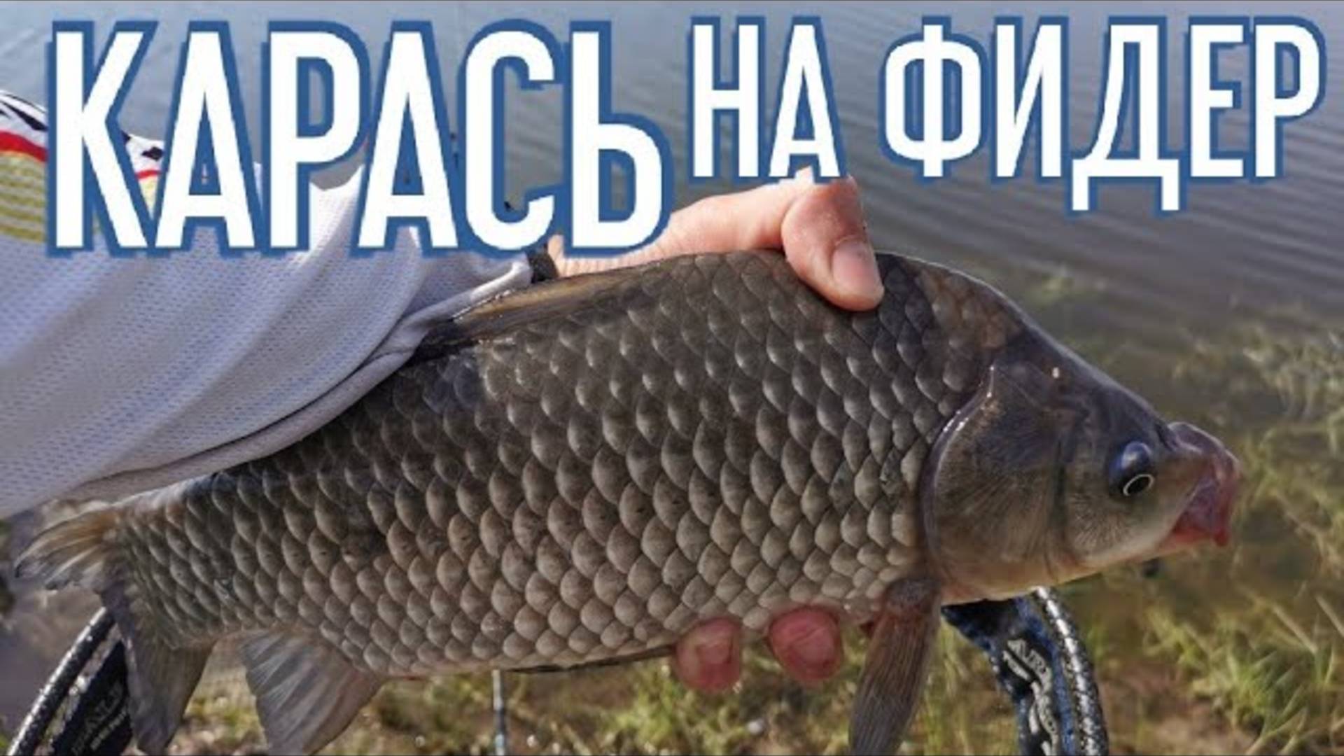 Карась на фидер. Рыбалка 2021. Прикормка на карася смотреть онлайн