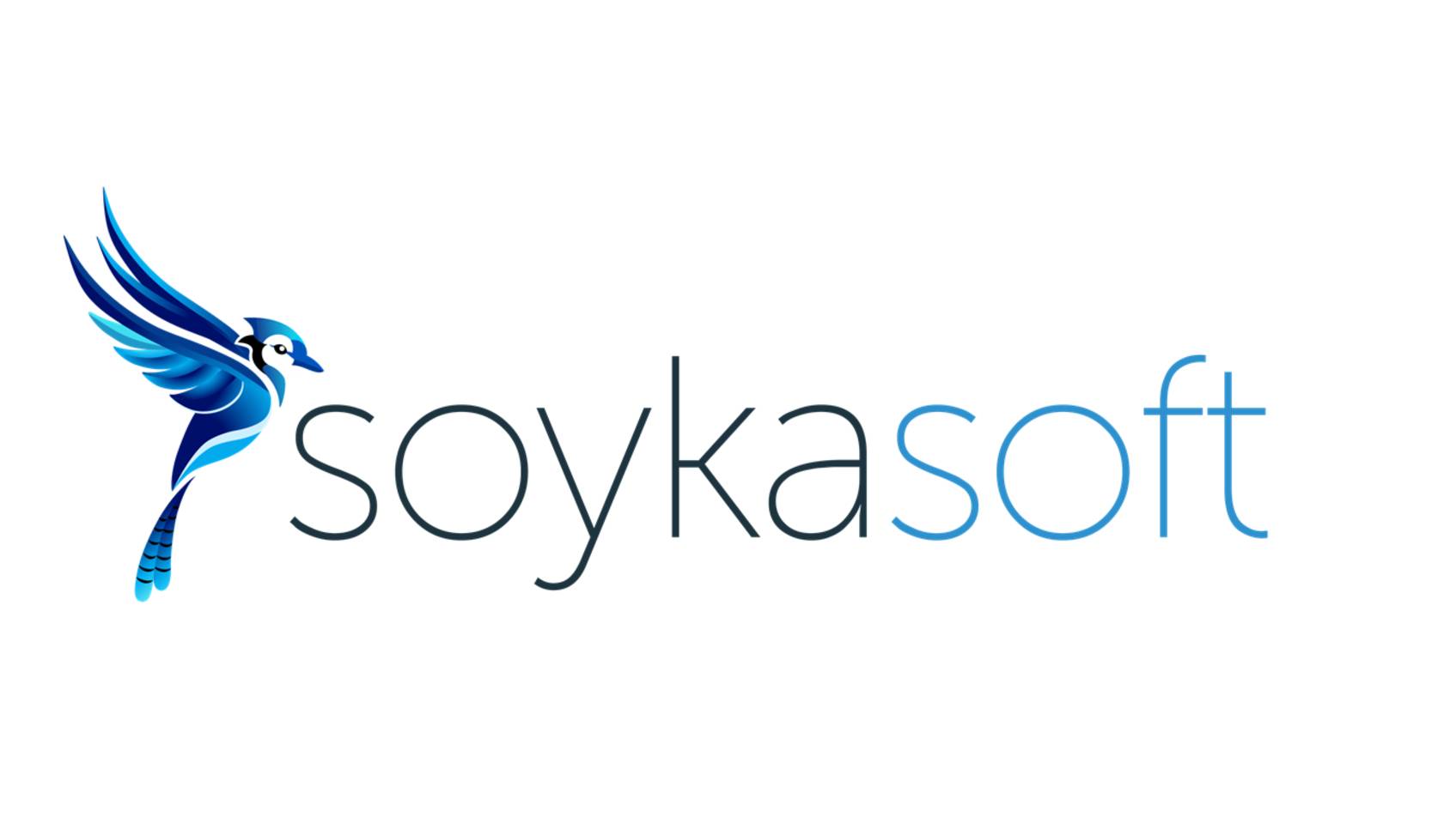 Презентация сервиса SoykaSoft смотреть онлайн