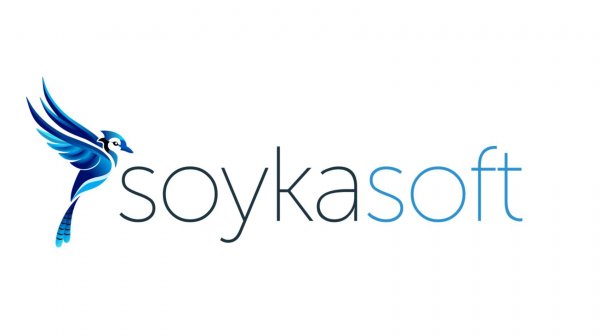 Презентация сервиса SoykaSoft