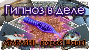 Гипноз в деле. NANO ATARASHII - второй Шанс! Мормышинг.