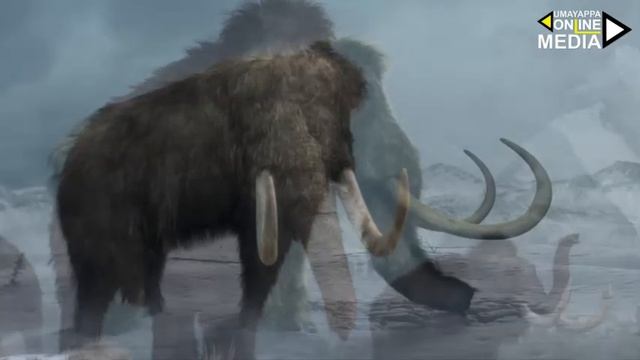 Top 10 Facts about Mammoth |മാമത്തു ഇപ്പോഴും ജീവിക്കുന്നു | മാമത്തിനെ കുറിച്ച് 10 കാര്യങ്ങൾ смотреть онлайн
