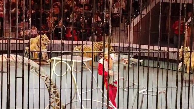 VID-20241223-WA0014 смотреть онлайн