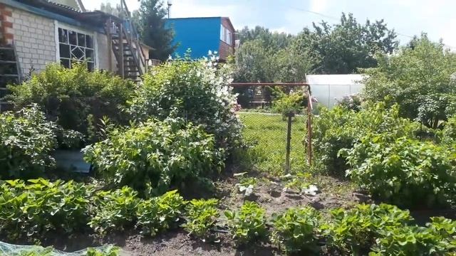 Что я натворила! А муж в восторге! Дождалась похвалы ворчуна, который НИКОГДА не делает ошибок смотреть онлайн