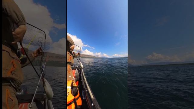 клюнул всего один небольшой голец смотреть онлайн