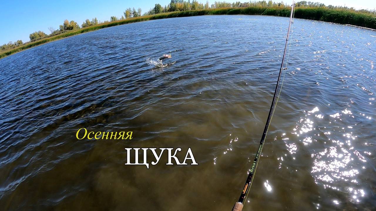 Осенняя рыбалка на щуку. Ловлю щуку на мелких озерах. смотреть онлайн