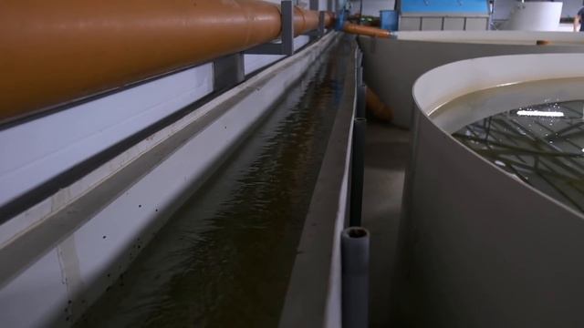 Обзор новой четвёртой Аквафермы. Часть 1 смотреть онлайн