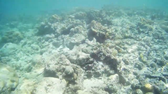 Pantai Yang Indah  Dan Berkah || Pasir Panjang Ampana Tete