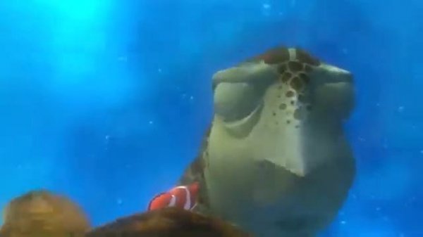 В поисках Немо в 3D