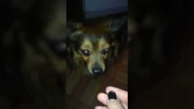 Джоня ест сыр смотреть онлайн