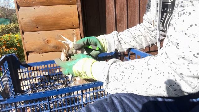 Одна на дачу в последний день перед отпуском! смотреть онлайн