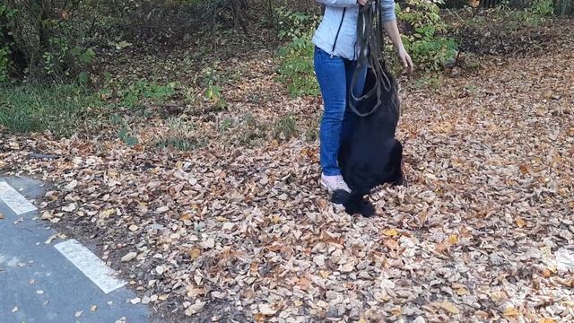 Дрессировка собак. Как бороться с "зооагрессией" ч.2 смотреть онлайн