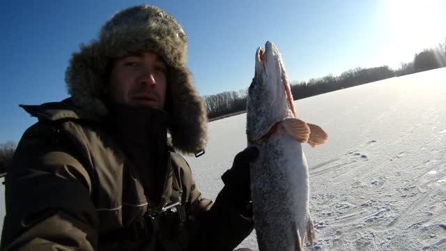 Первый лёд 2022-2023. Самара. Взял мало живца и просчитался. Рыбалка на жерлицы. Часть 1